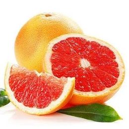 葡萄柚-紅肉進口