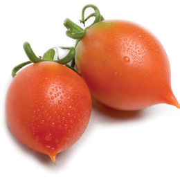 小番茄-嬌女 蕃茄