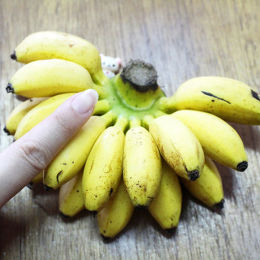 香蕉-旦蕉 