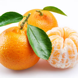 椪柑 橘子