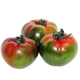 番茄-黑柿