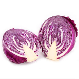 甘藍-紫色 高麗菜,捲心菜