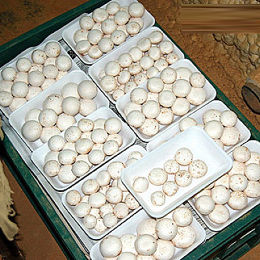 洋菇(盒)-盒裝 蘑菇,Mushrooms