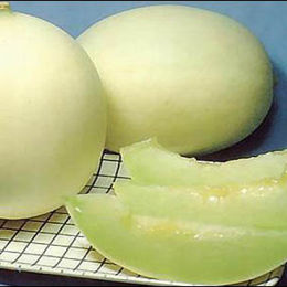洋香瓜-網狀白肉 哈密瓜